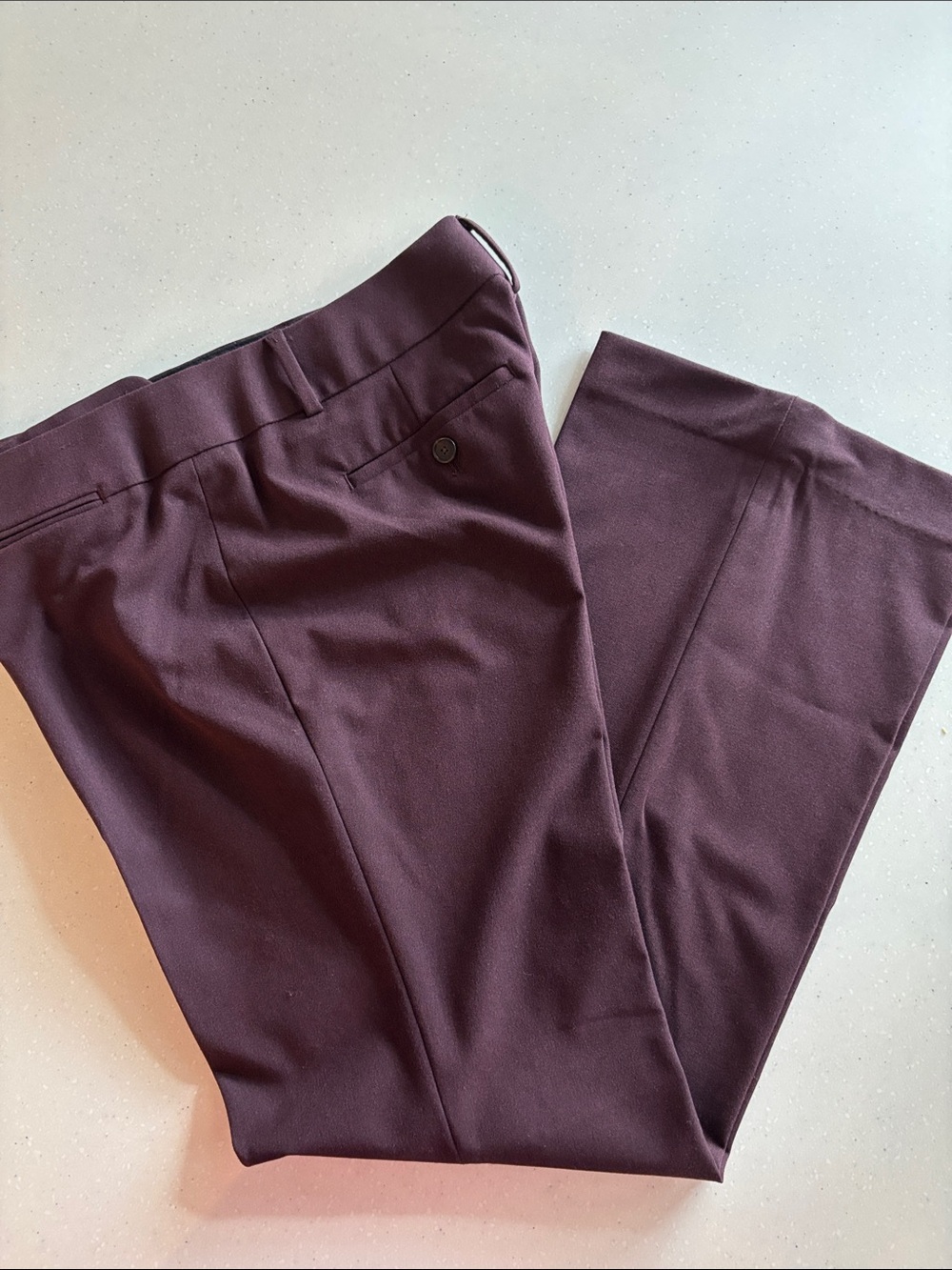 LOFT Women's Burgundy Dress Pants-10P-Like New